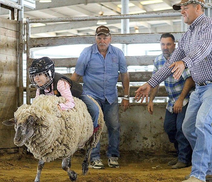 Galveston County Fair and Rodeo